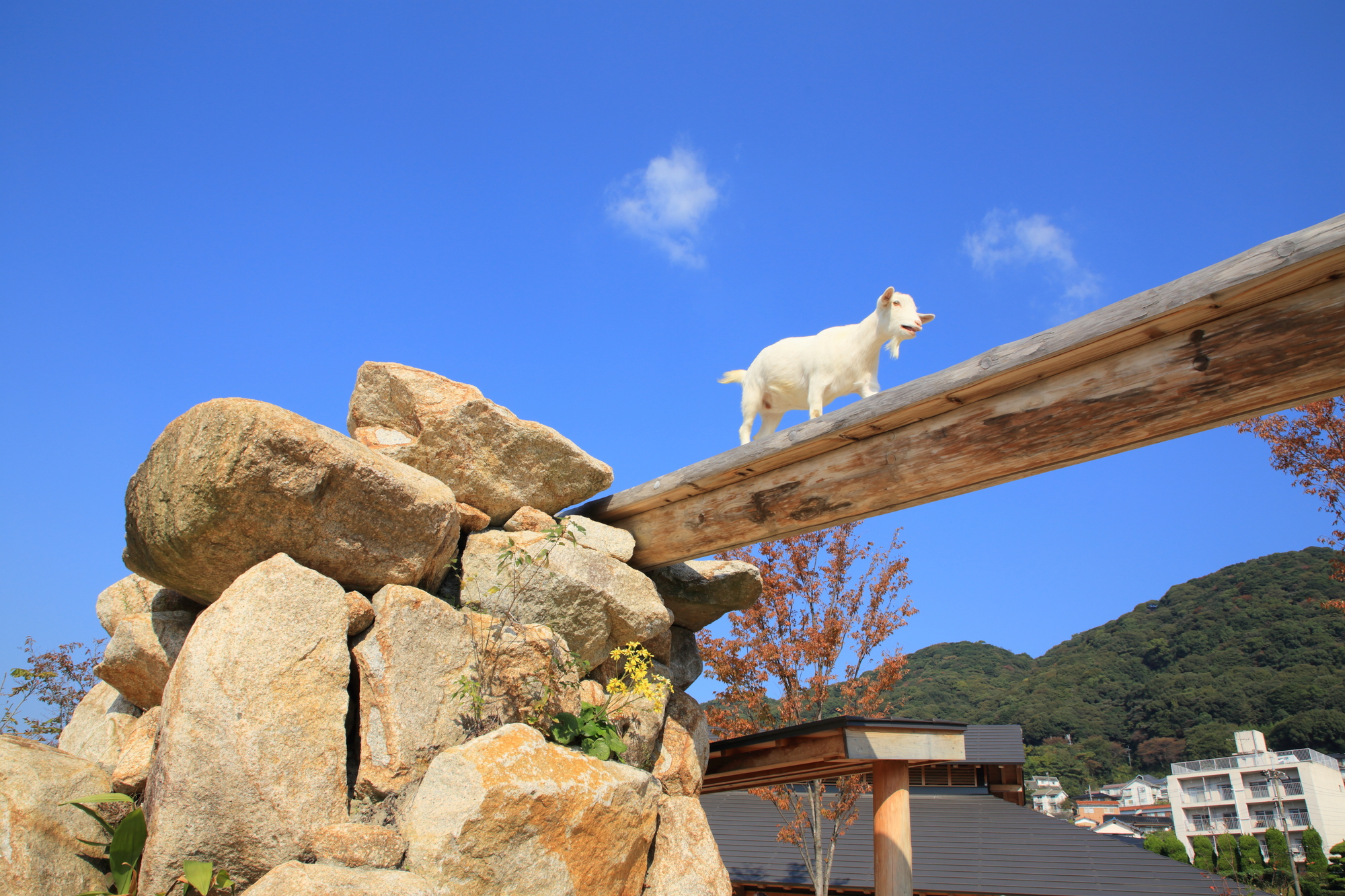 周南市徳山動物園