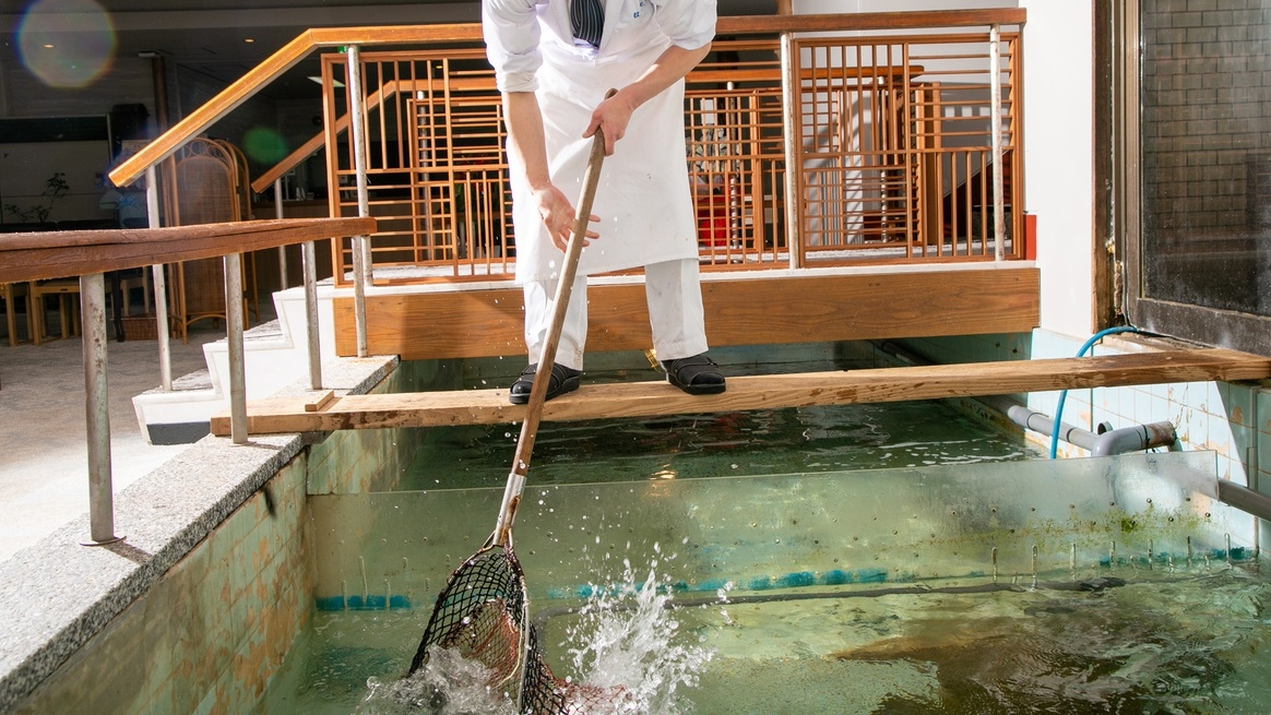 【日帰り昼食】〜活きイカ御膳〜　透き通った身が鮮度の証！専属漁師が1本釣り！