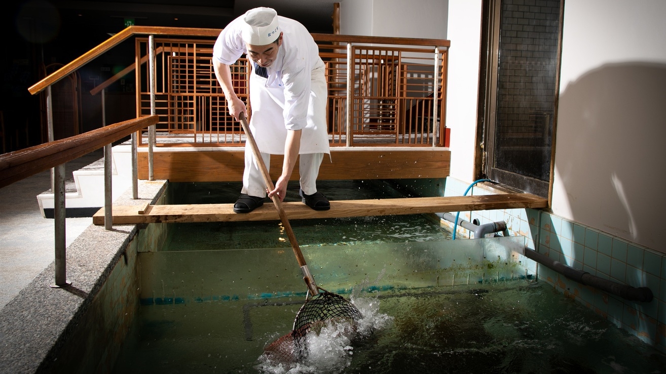 【心躍る海・山の幸】玄界灘直送！天然魚の姿造り＆国産牛80gの陶板焼き！名物・旬魚のしゃぶしゃぶも