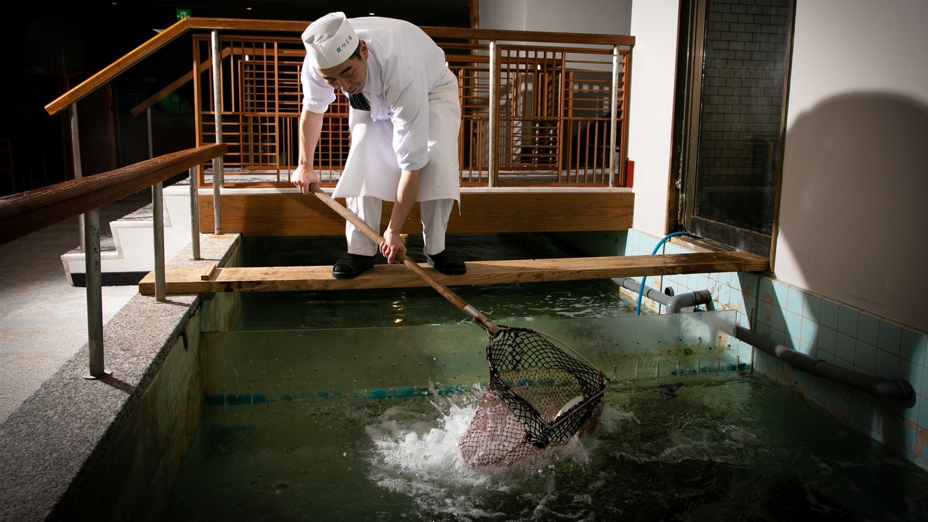 【はつしろの基本】豊かな海の恵みを毎朝仕入れ！館内の生簀で鮮度抜群＜旬魚の刺し盛り＆しゃぶしゃぶ＞
