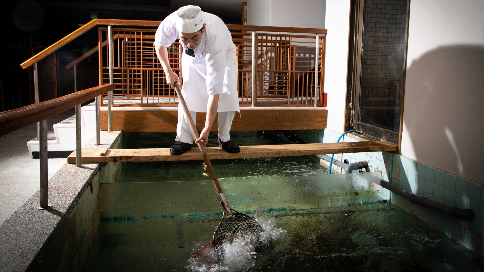 【生簀】毎朝仕入れる新鮮な魚の鮮度を保つため、館内には生簀を備えております。