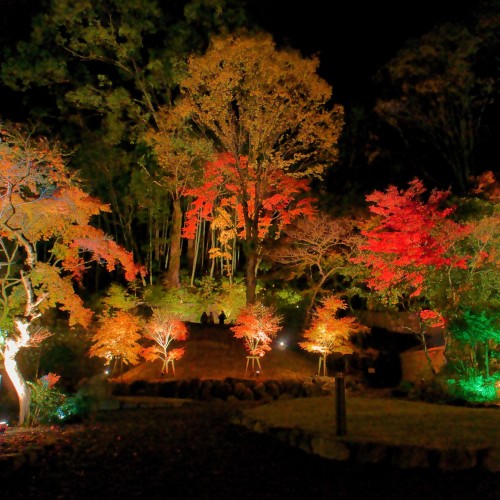 湯河原美術館　紅葉ライトアップ