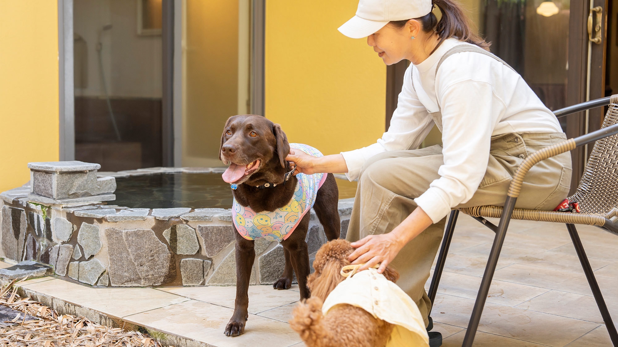 【期間限定特別SALE】＜8％OFF＞別館がいつでもお得！ペット同室宿泊OK◎朝夕ゆったりお部屋食