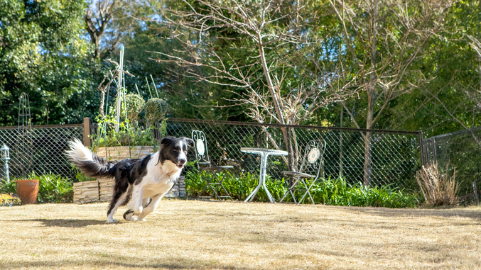 【素泊まりプラン】 気ままに伊豆高原を堪能♪（冷蔵庫フリー）
