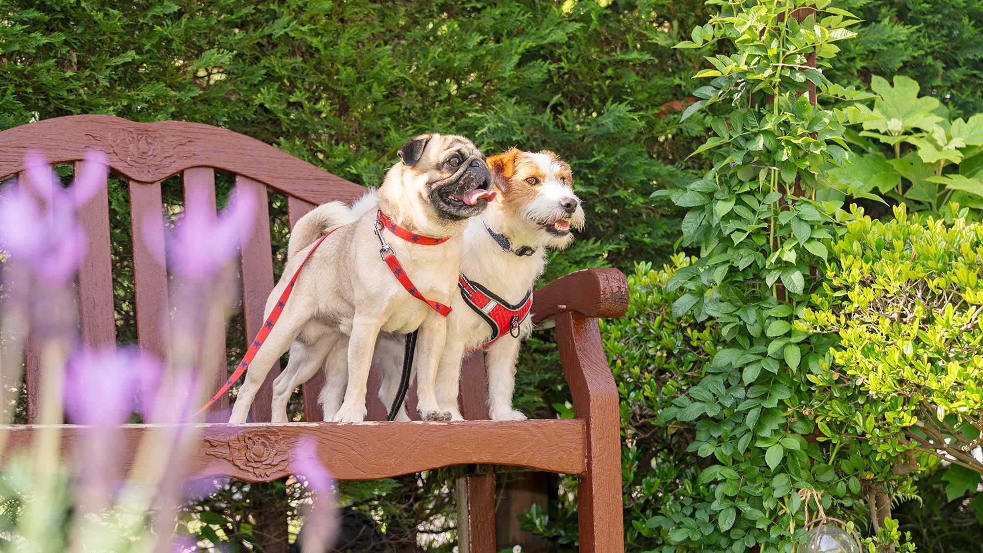 【夕食付き】朝はゆっくりお寝坊プラン♪