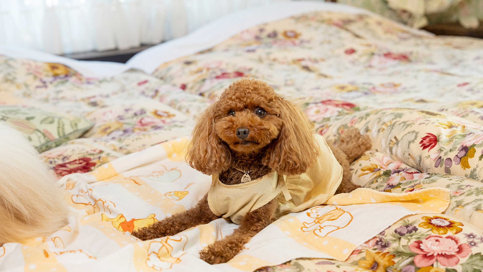 ふかふかでとっても快適だよ〜＾＾