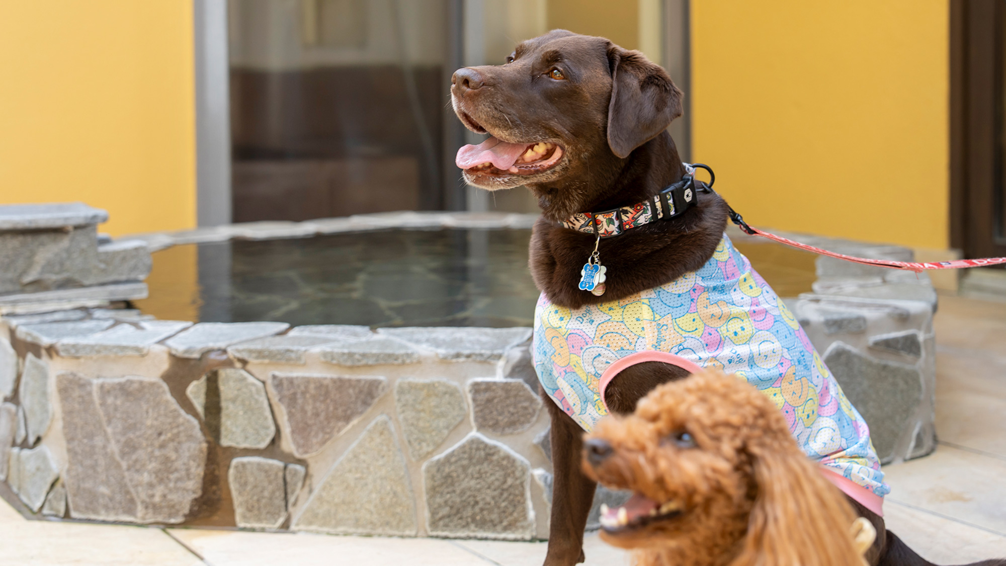 【別館７号室】