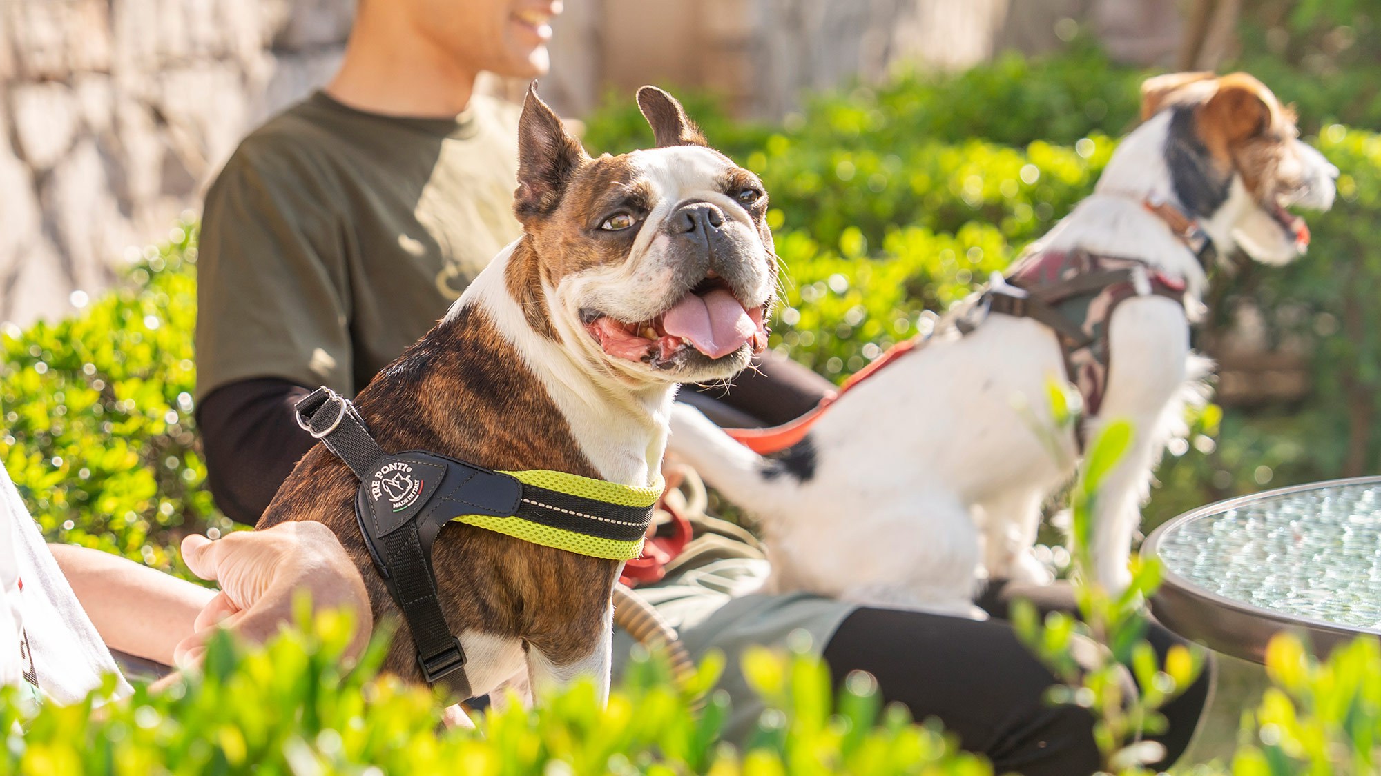 みんなでお外で遊んだ後は、ひとやすみ☆