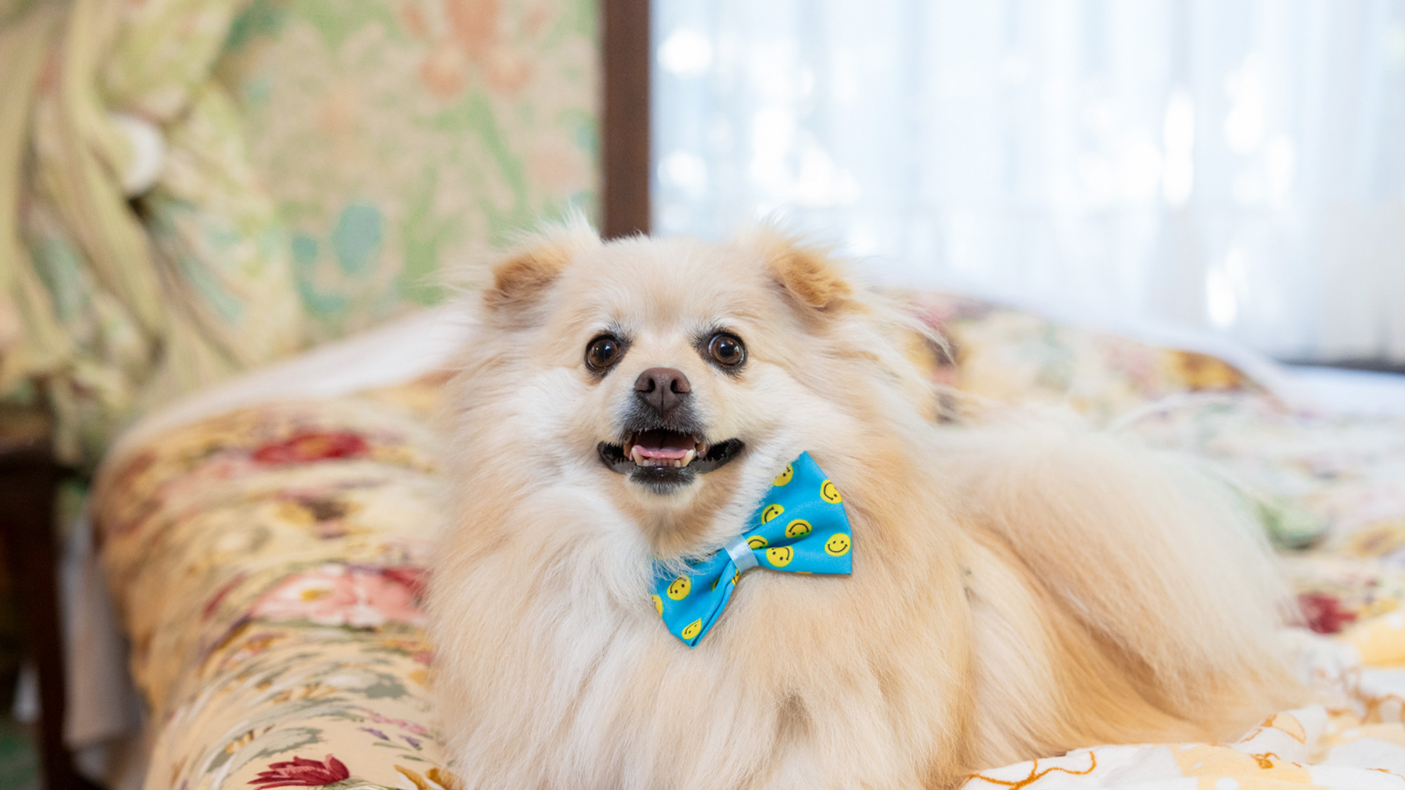 ふかふかでとっても快適だよ〜＾＾