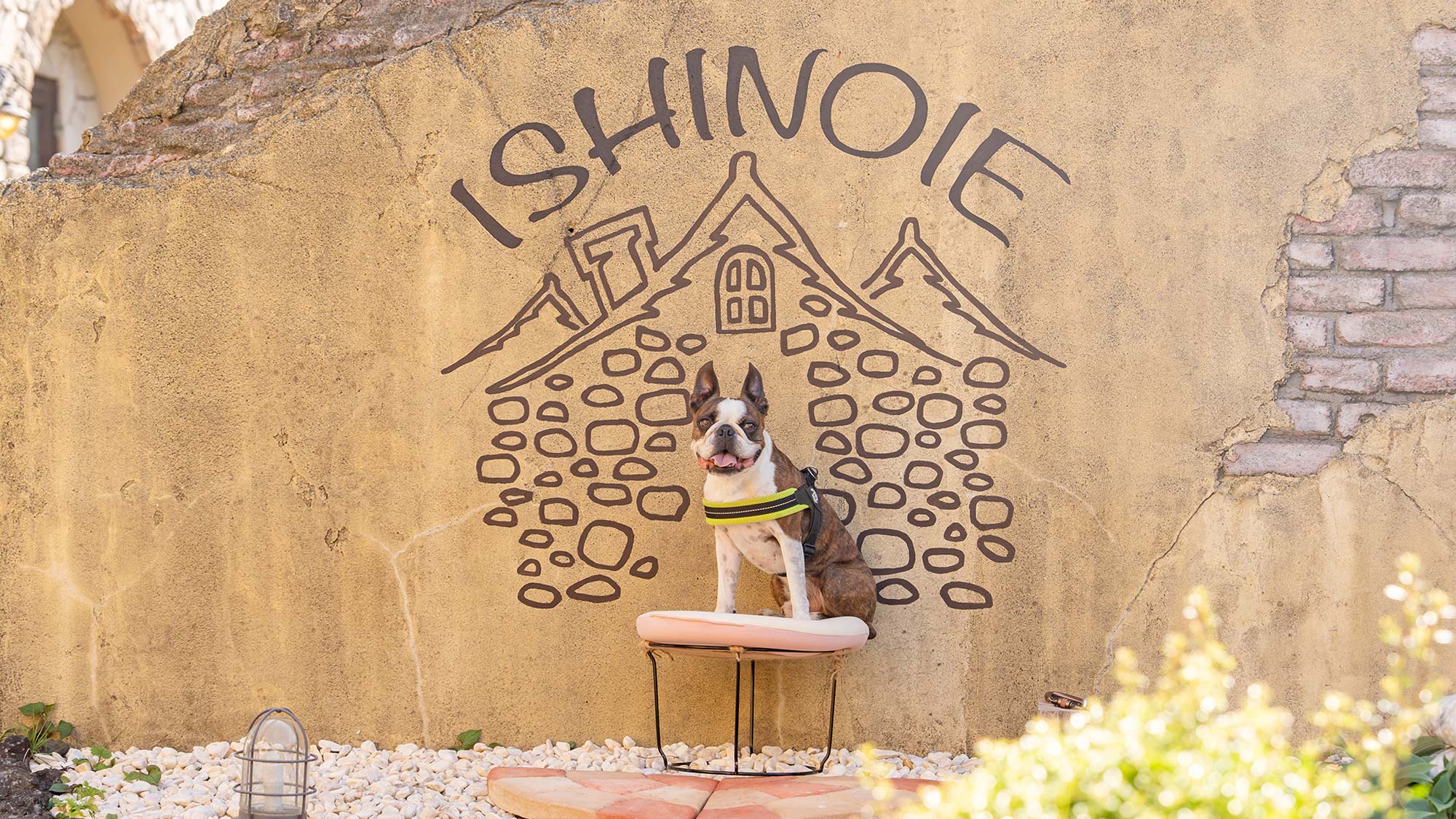 FREE撮影スポット★とってもかわいいウォールアートができました♪