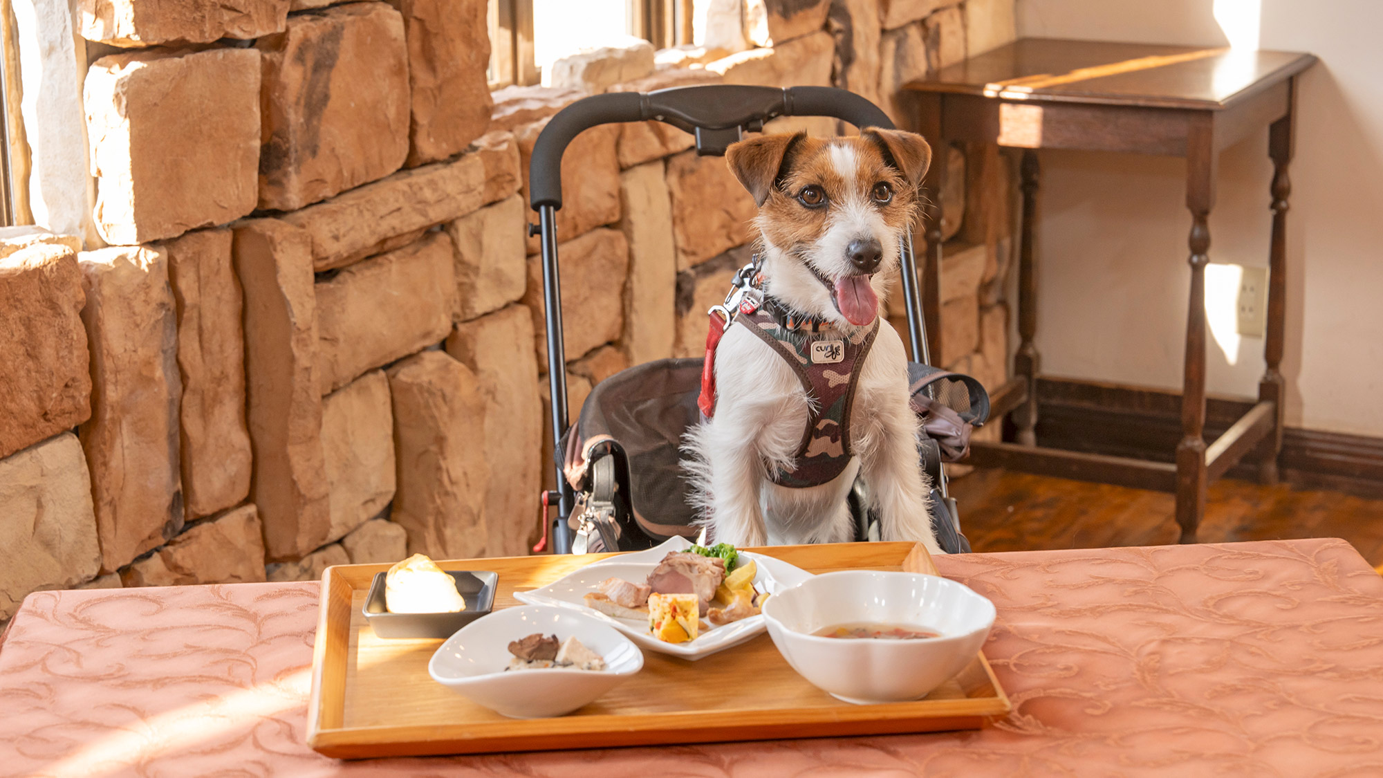 【ワン食】（Sサイズ）「オレならSサイズで十分だぜ！」