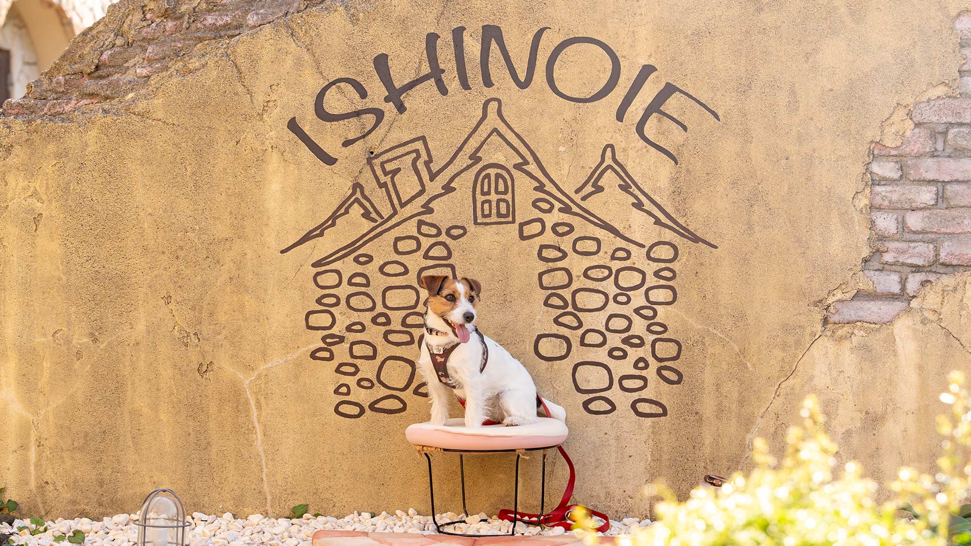 FREE撮影スポット★とってもかわいいウォールアートができました♪