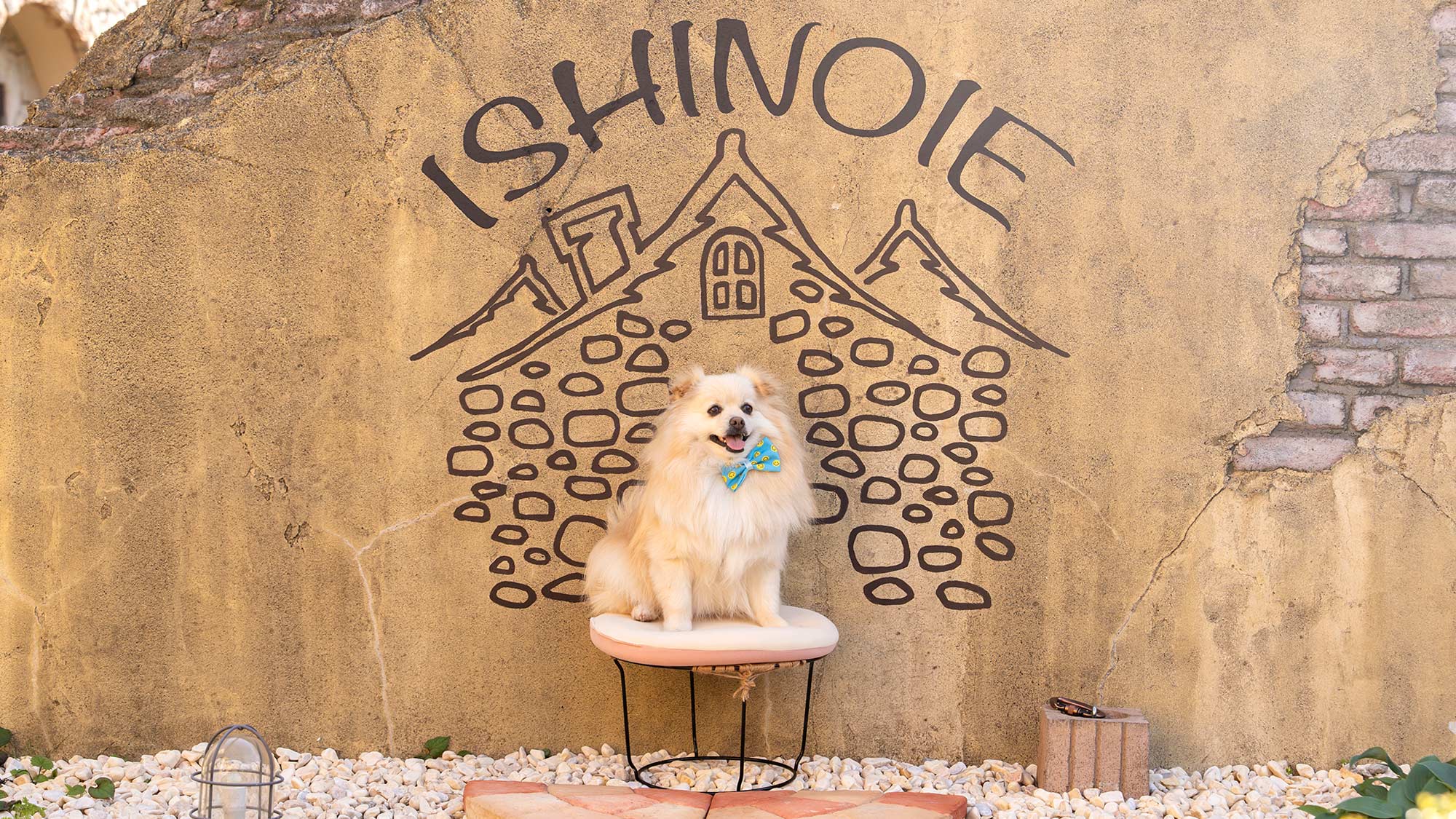 FREE撮影スポット★とってもかわいいウォールアートができました♪