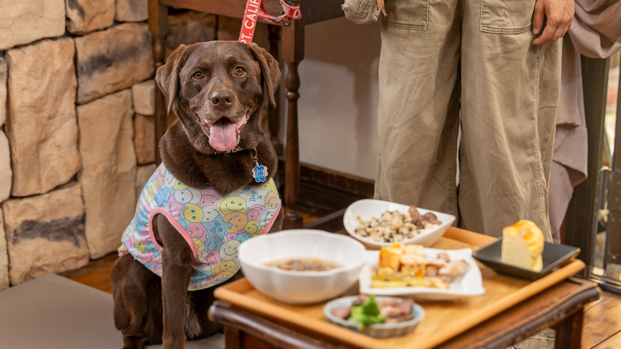 ワン食（Lサイズ）「ラブラドールのあたちはLサイズをいただき！」