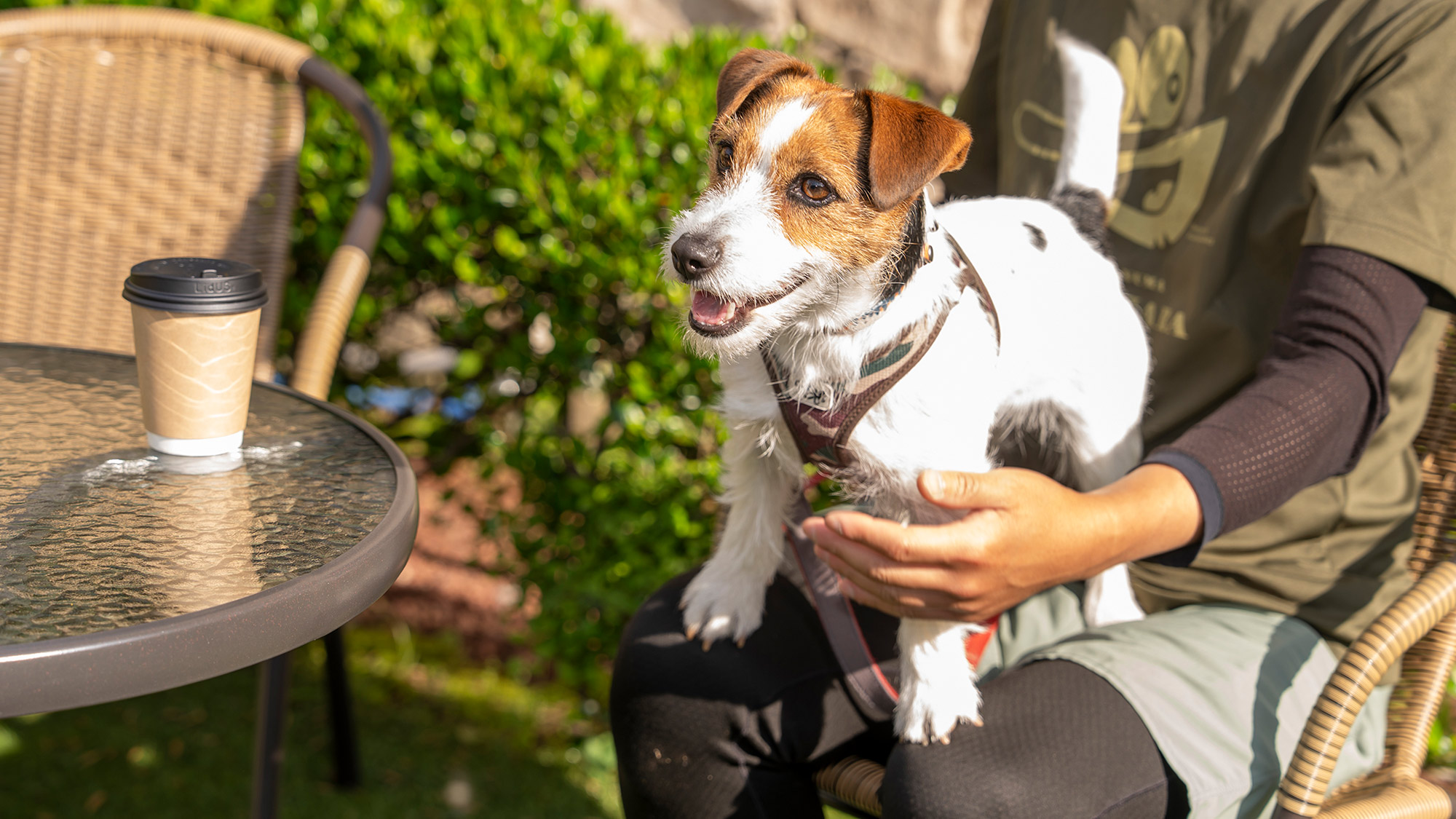 中庭でパパとゆっくりひとやすみ＿＿＿。