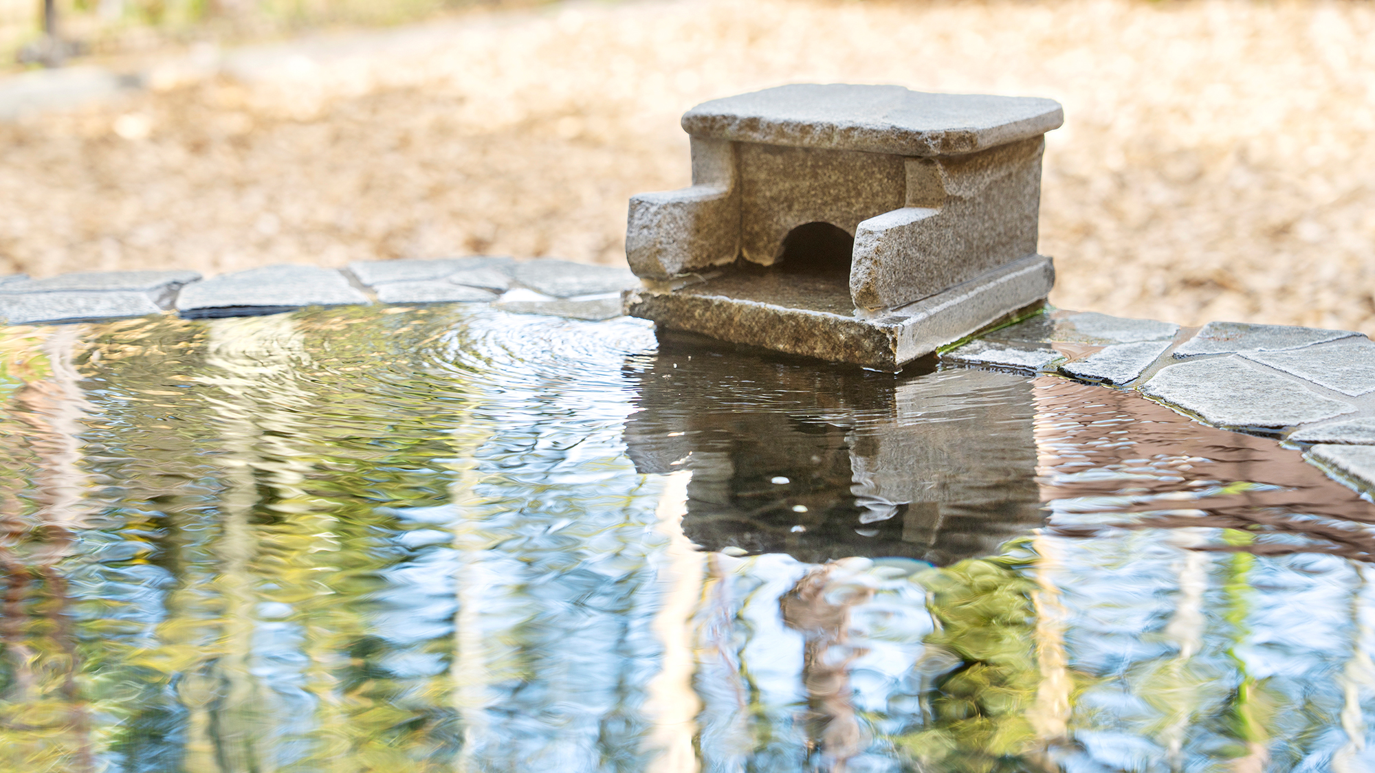 【別館７号室】