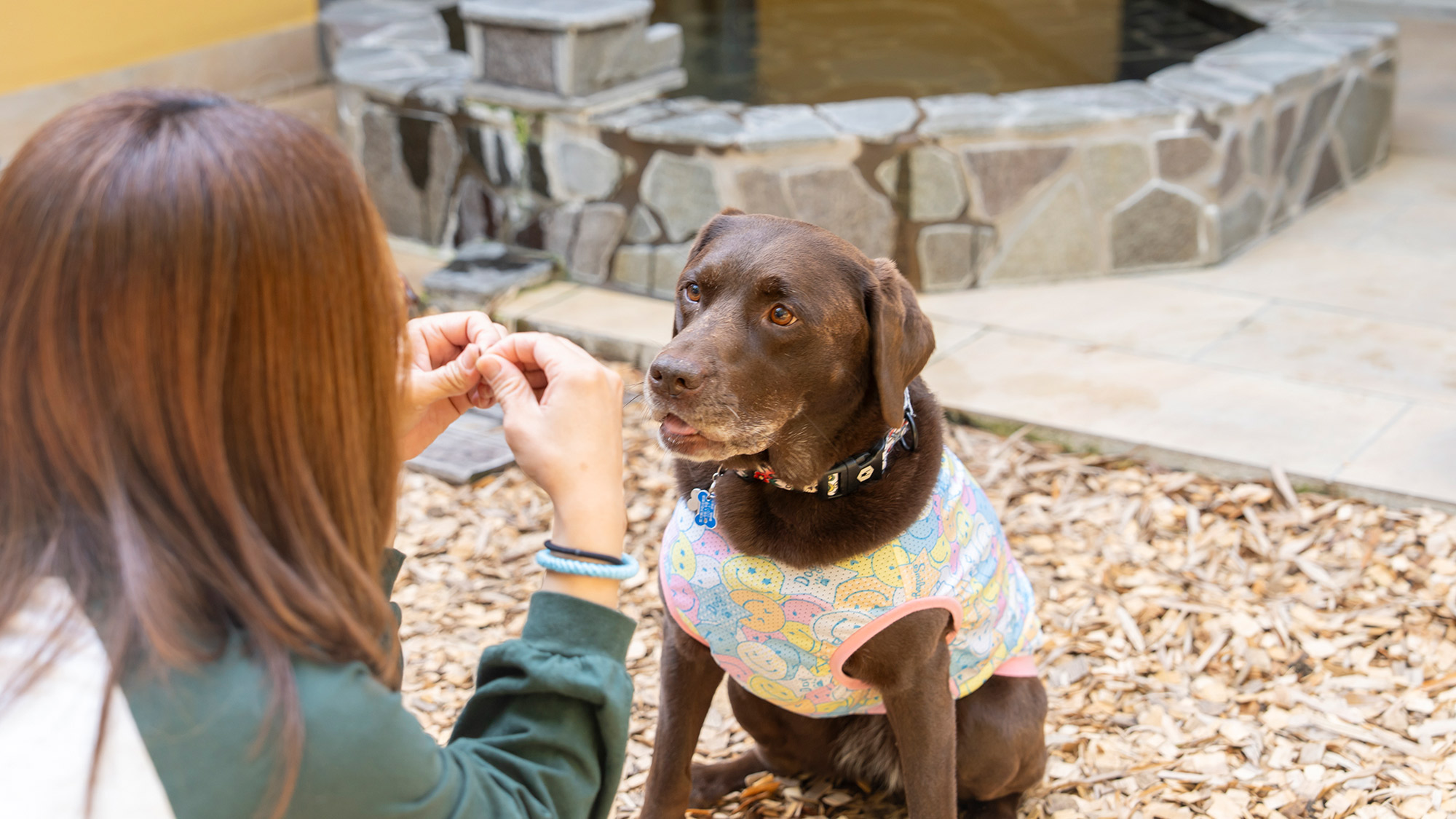 ちゃんと待てるよ！とってもお利口さん＾＾