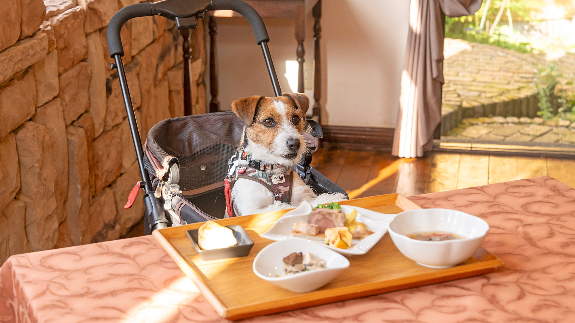 【ワン食】（Sサイズ）