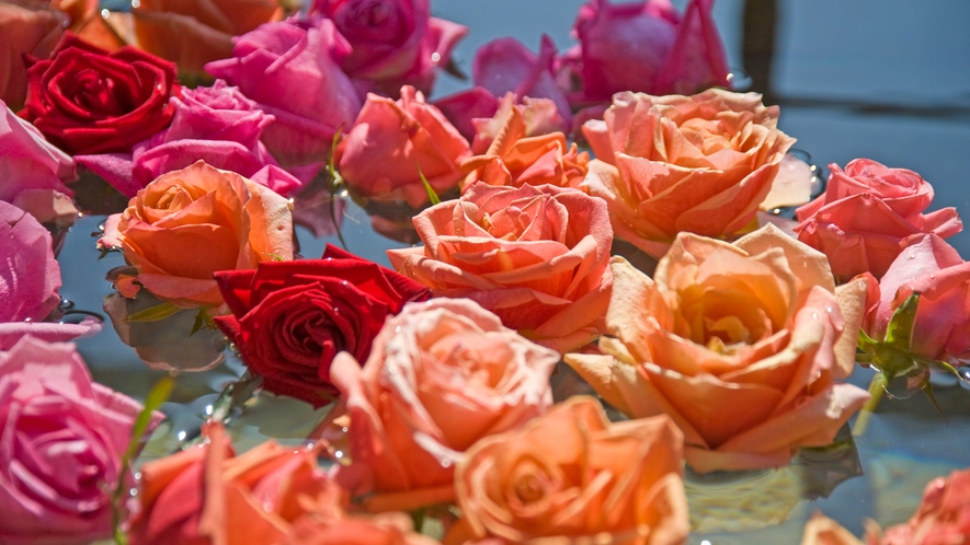 記念日など特別な日はバラの香りに包まれて。