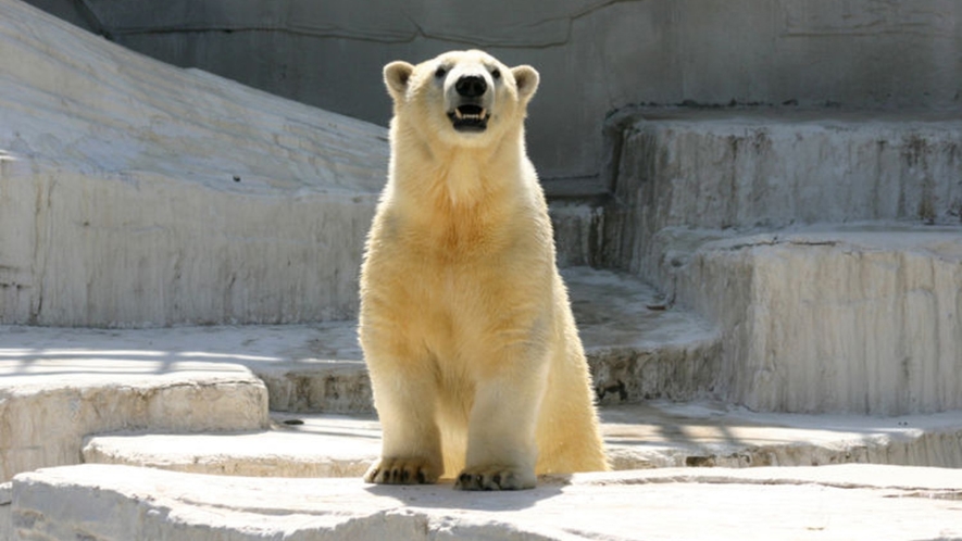 天王寺動物園