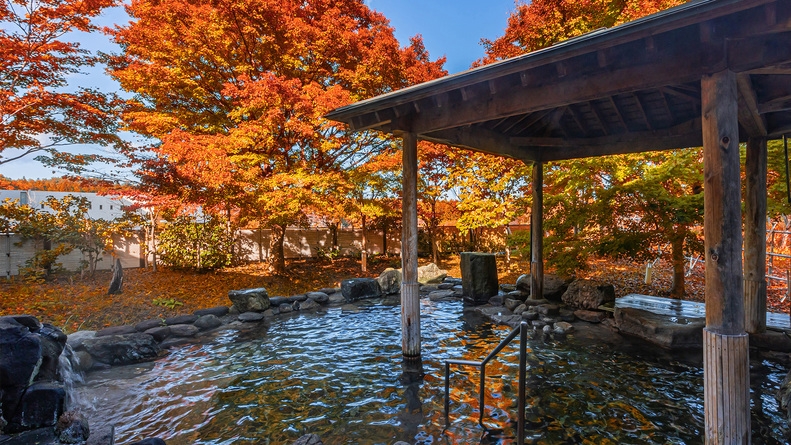 【青森の秋　海の幸と林檎を味わい尽くすご当地ビュッフェ】1泊2食付き