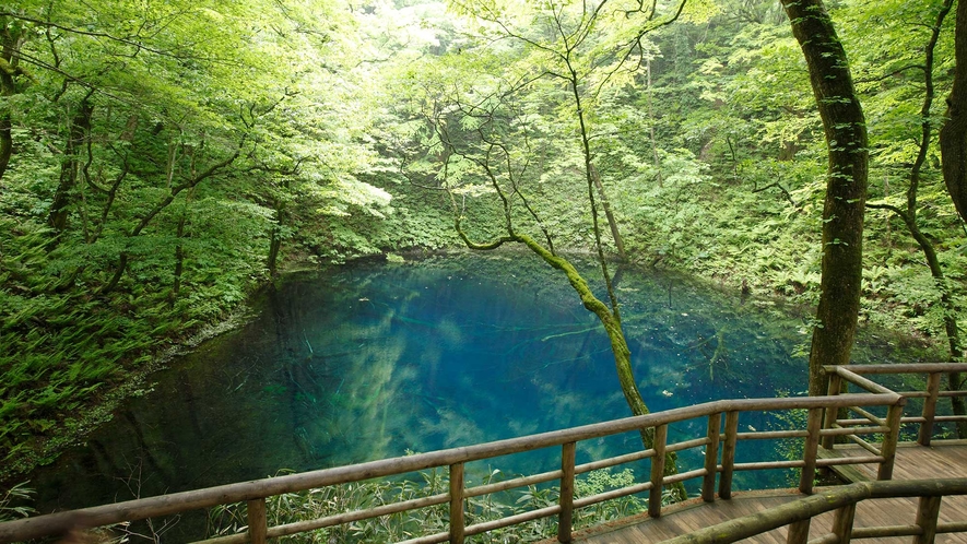 十二湖の沸壺の池