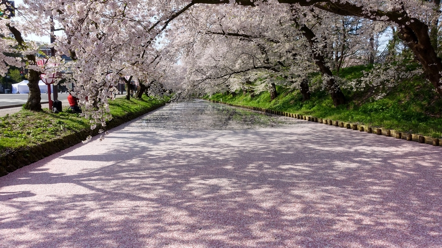 弘前の桜