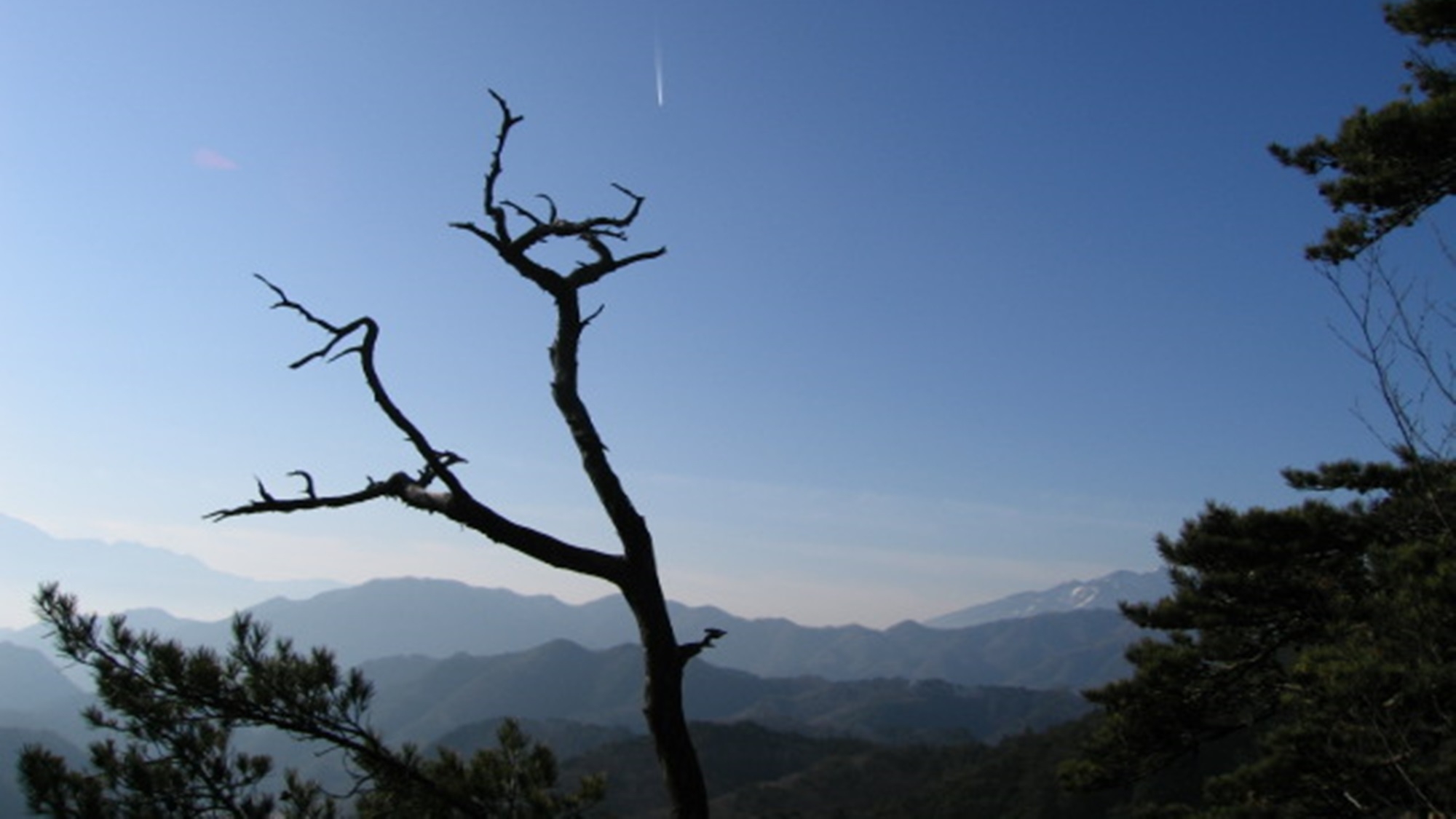 【2食付スタンダード】瑞牆山登山に！渓流沿いの自然豊かな宿！川魚や新鮮野菜の和食膳が人気