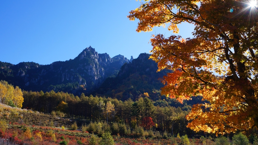 ＊紅葉/例年見頃10月下旬　みずがき山と美しい紅葉はまさにおすすめシーズンです！
