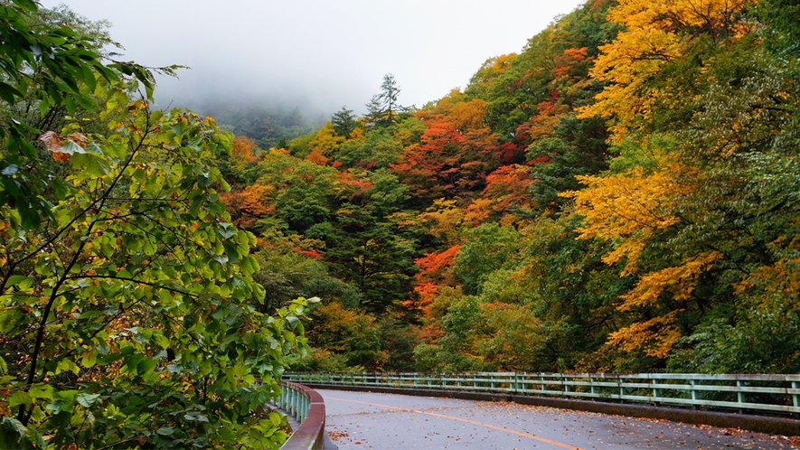 ＊紅葉/例年見頃10月下旬　当館までの道のりも、紅葉で色どられ、とても鮮やかになります。