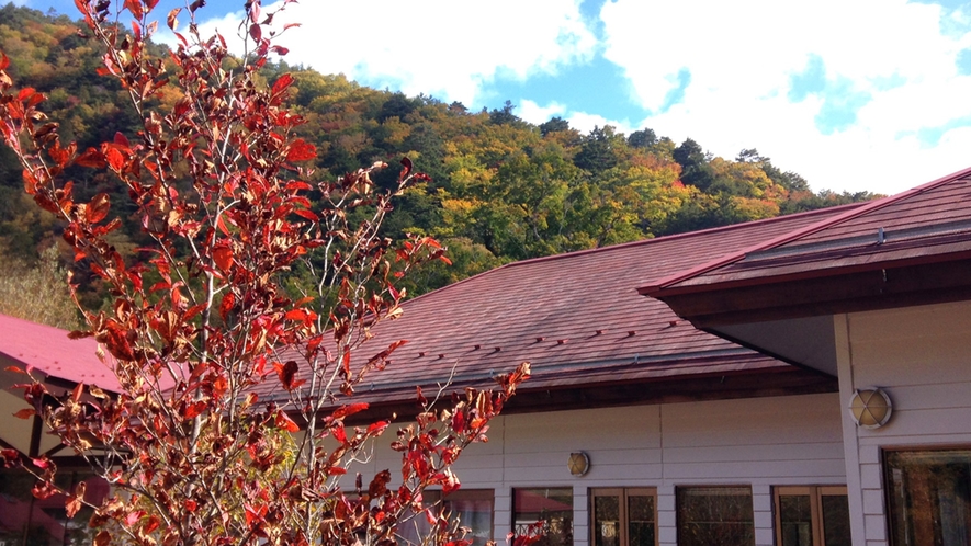 ＊紅葉/例年見頃10月下旬　当館を囲む山々も美しい紅葉で彩られます。