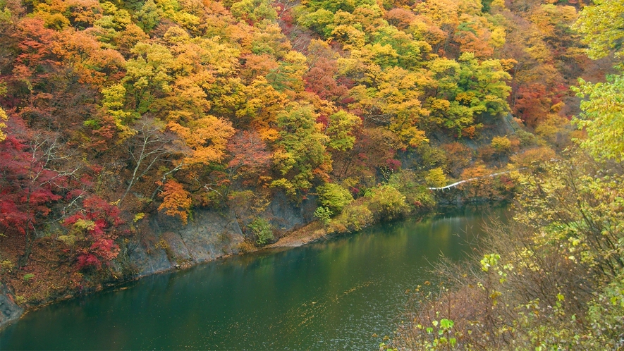 ＊紅葉/例年見頃10月下旬　本谷川渓谷と美しい紅葉をお楽しみくださいませ。
