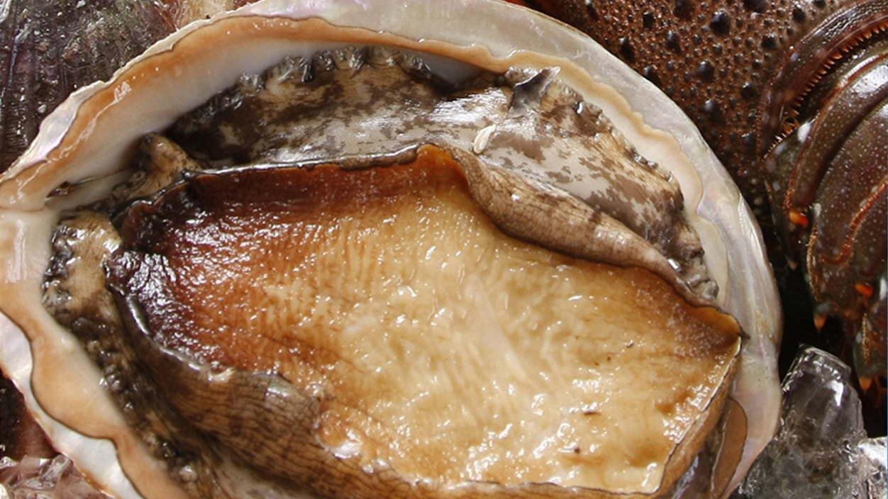 【 ちょっぴり贅沢に 】鮑の踊り焼き+金目鯛