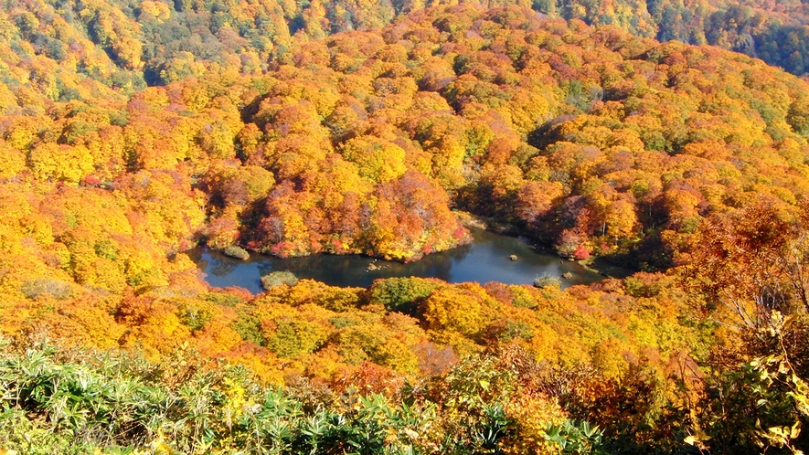 *鳥海山荘からの紅葉