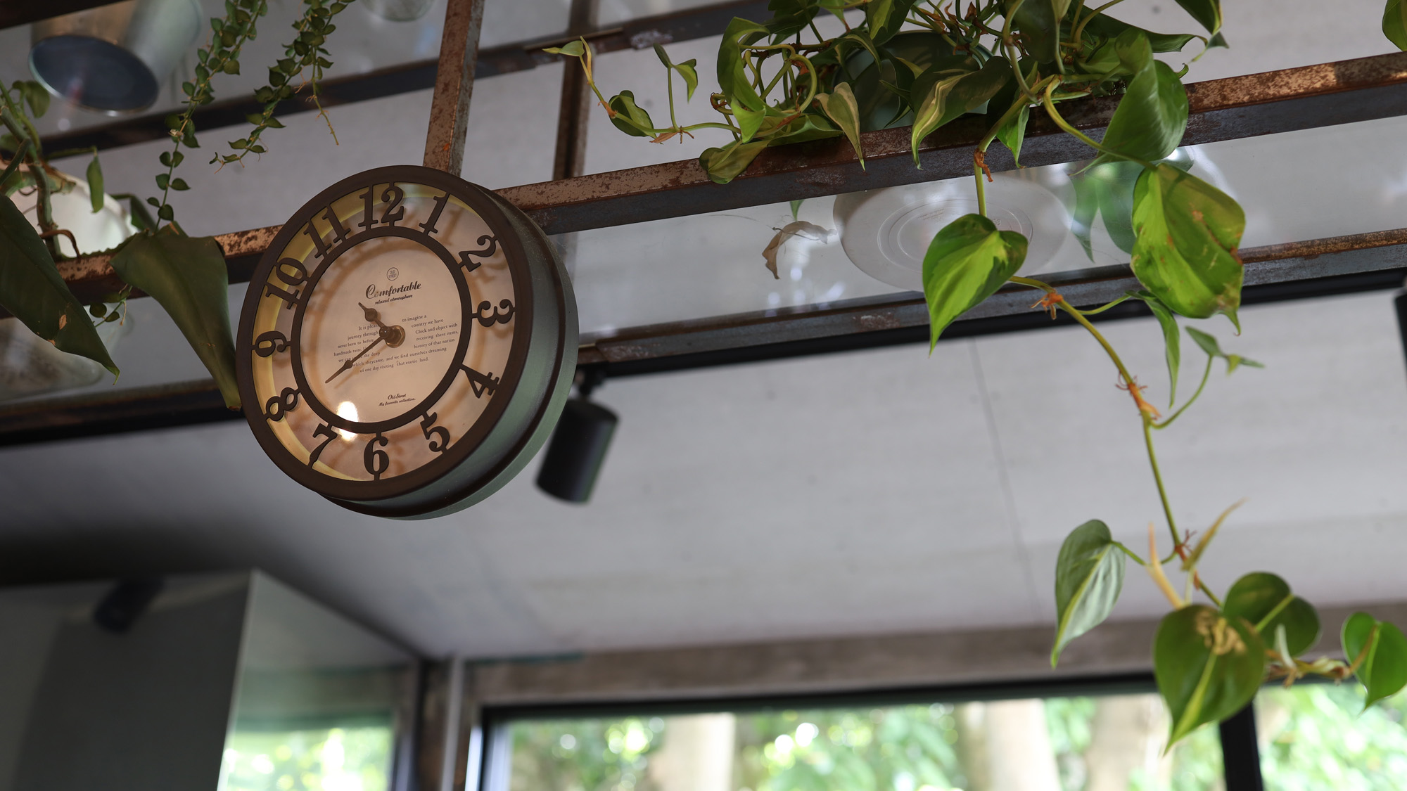 【イメージ】懐かしいのに新しい、そんな不思議な魅力が詰まっています