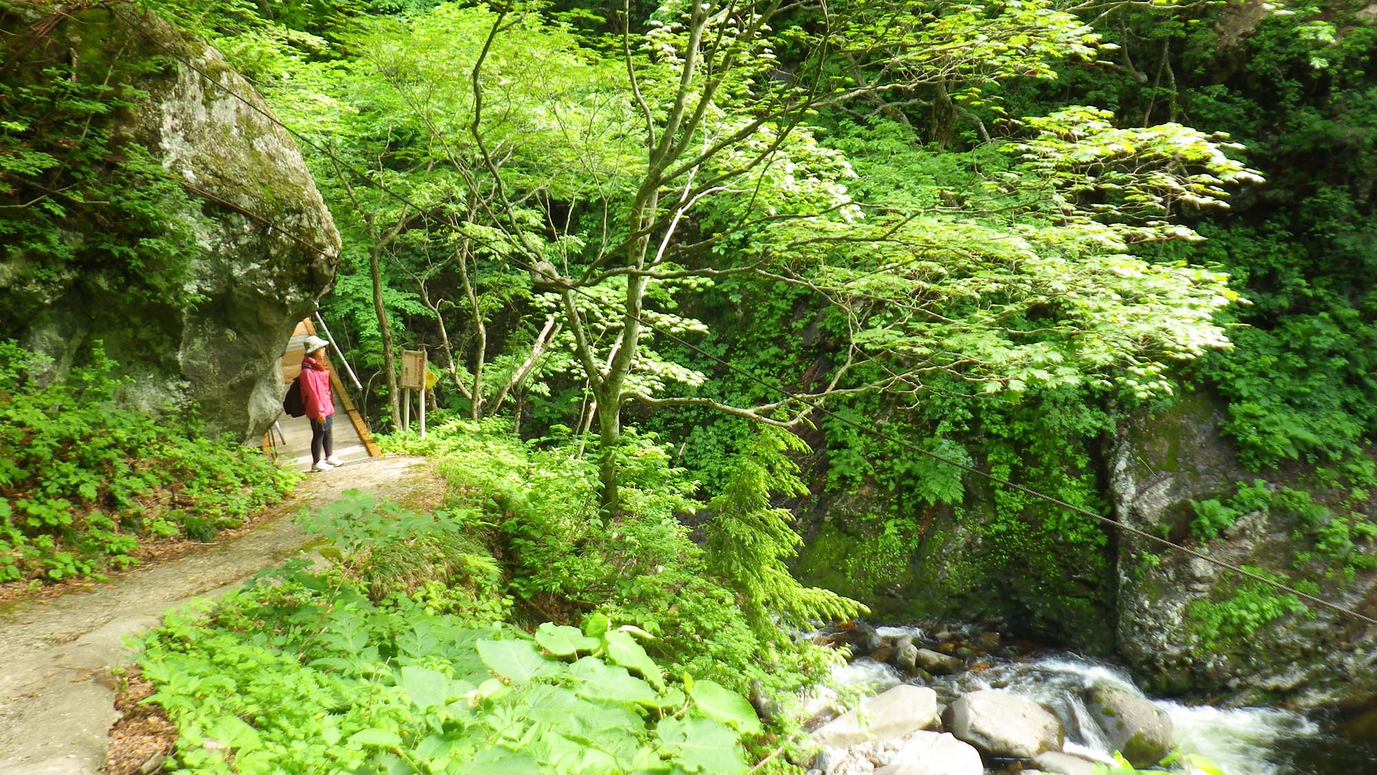 ・【宿へのトレッキング】緑溢れる山の風景と心地よい川の音を楽しめます