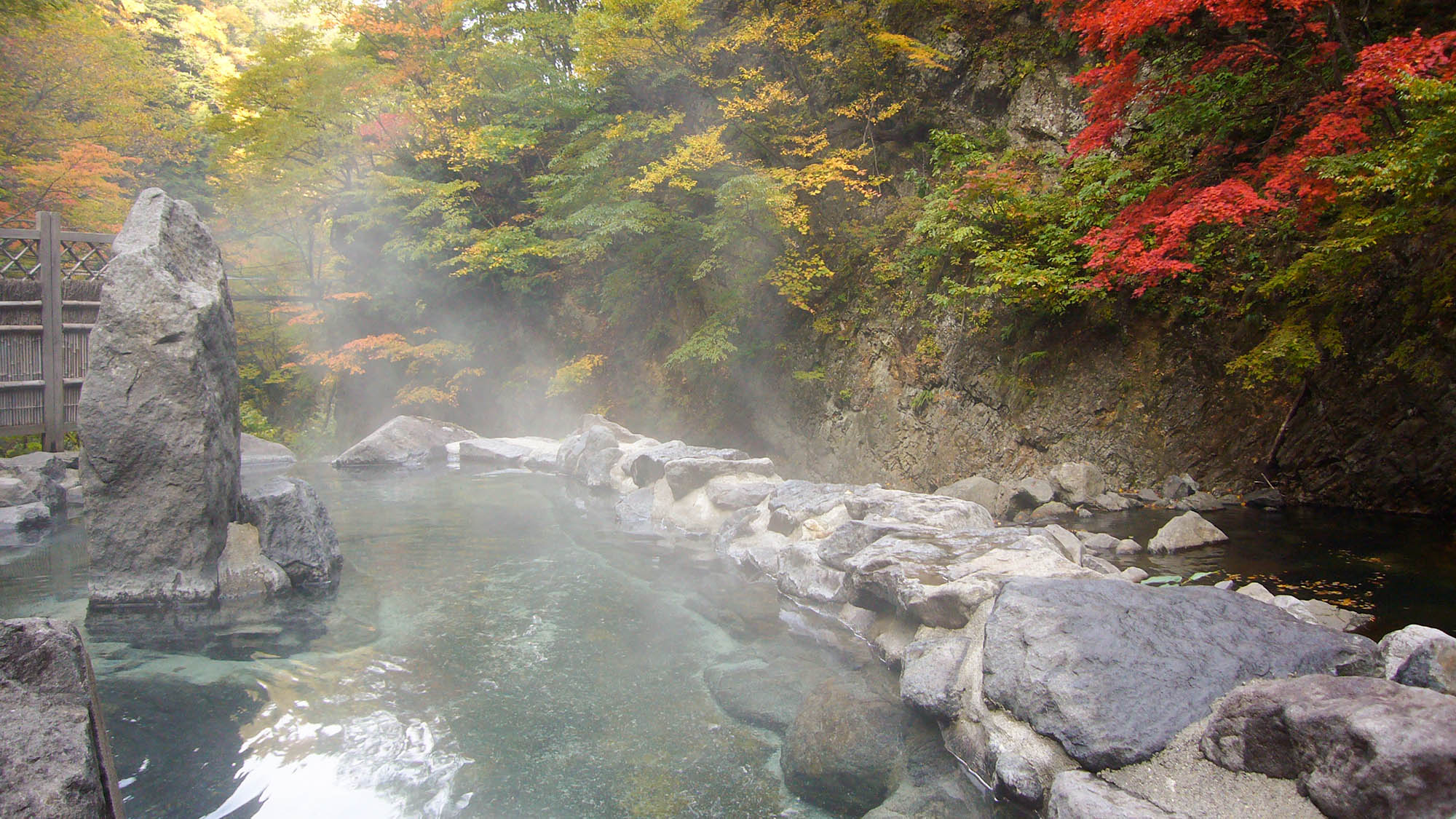 ・【露天風呂】四季の移ろいを感じられる風景。秋の紅葉や夏の新緑は見どころです