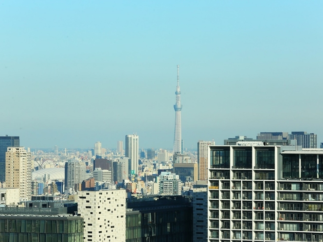 【高層階東側からの眺め】東京スカイツリーが見えるかも？（一例）