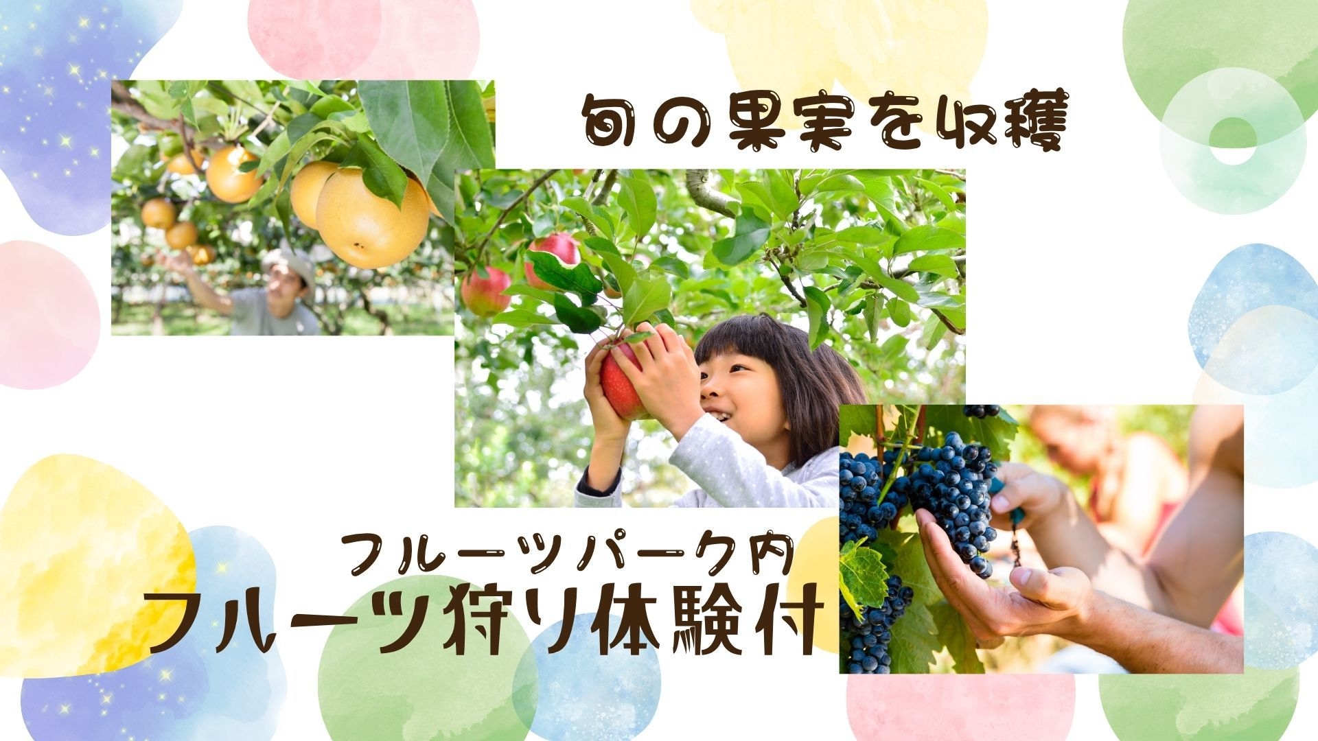 【フルーツ狩り体験付】旬の果実を収穫♪1泊2食バイキングプラン
