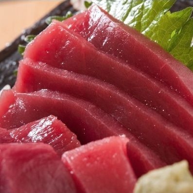 【1泊2食】6月7日限定　＼＼まぐろ祭りプラン／／大好評解体ショー