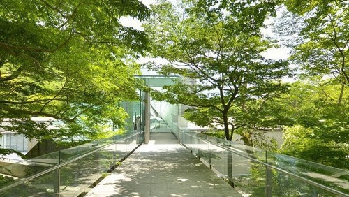 【チケット付/ポーラ美術館】箱根と自然と美術の共生。緑に囲まれた遊歩道でゆっくり過ごす（1泊2食付）