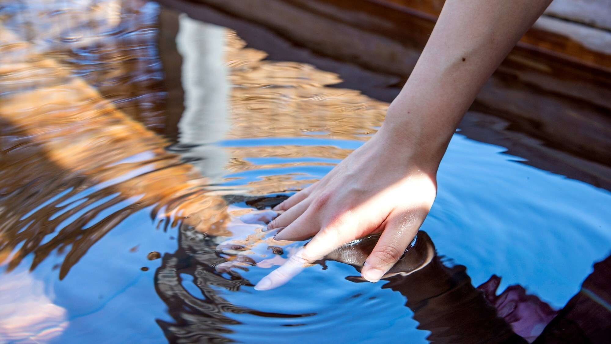 【早期割60・朝食付】60日前まで＆事前決済のご予約で20％OFF！