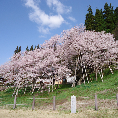 写真2