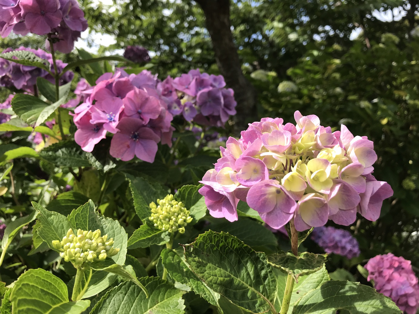 1泊朝食付プラン〜源泉かけ流し温泉