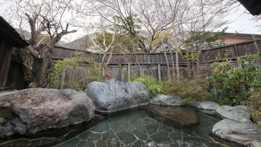 *露天風呂/春は目の前の桜の木を見ながらの花見露天がとってもおすすめ。絵のような美しさが広がります