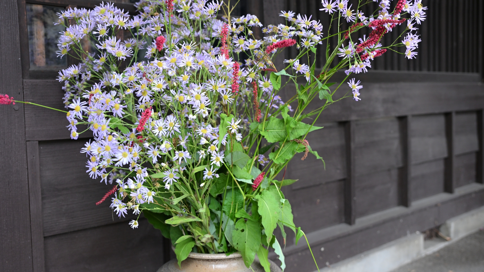 *外観/入口では季節を感じる花々がお出迎え