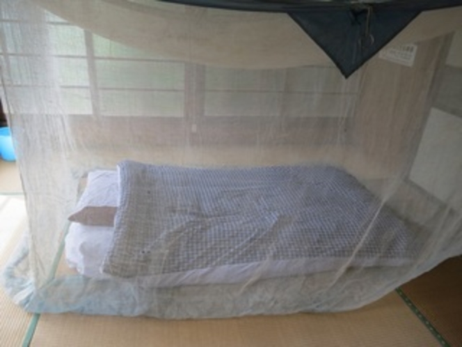 蚊帳