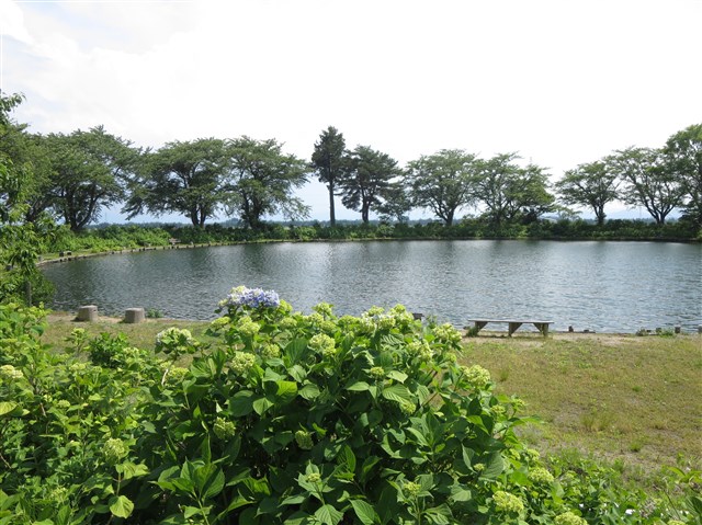 施設から車で5分の管理釣り場　3月頃～12月上旬まで　ルアー・フライ　ニジマスなど（C＆R）