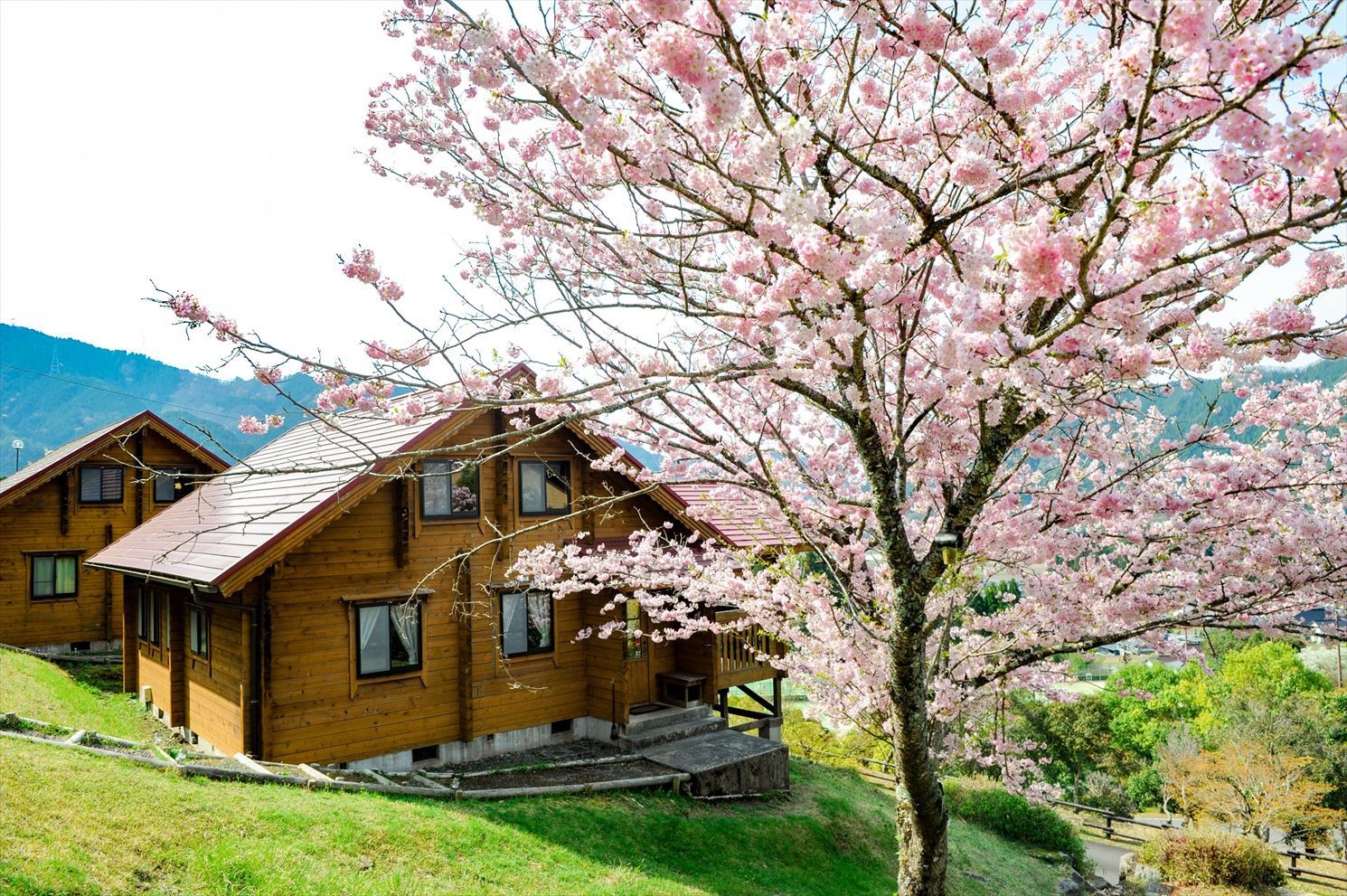 【部屋食】お部屋のテラスで地元産宍粟牛2種食べ比べ！時間に縛られないプライベートBBQプラン＜2食＞