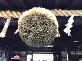 金陵の里　杉玉